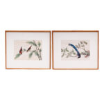 Two Antique Chinese Gouache Paintings of Birds on Pith Paper