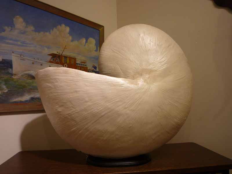 Huge Fiberglass Nautilus Shell