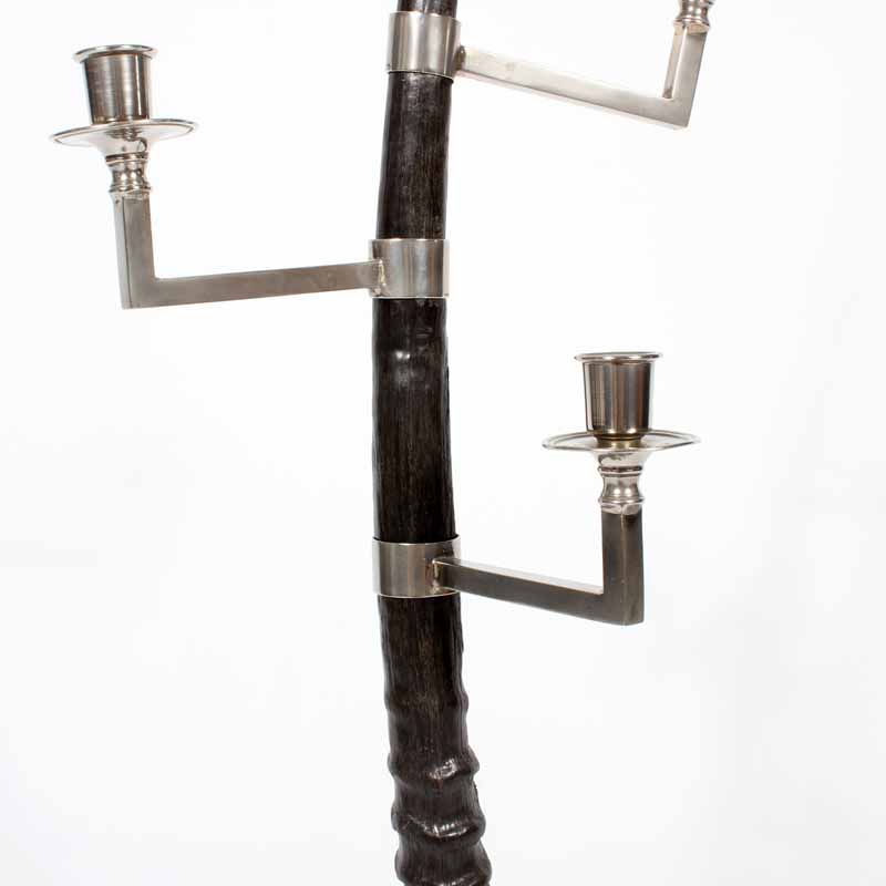 Pair of Large Oryx Horn Candelabra