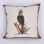 Raw Silk Tropical Bird Design Pillow