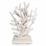 Octopus Coral on Coquina Stone, Priced Individually