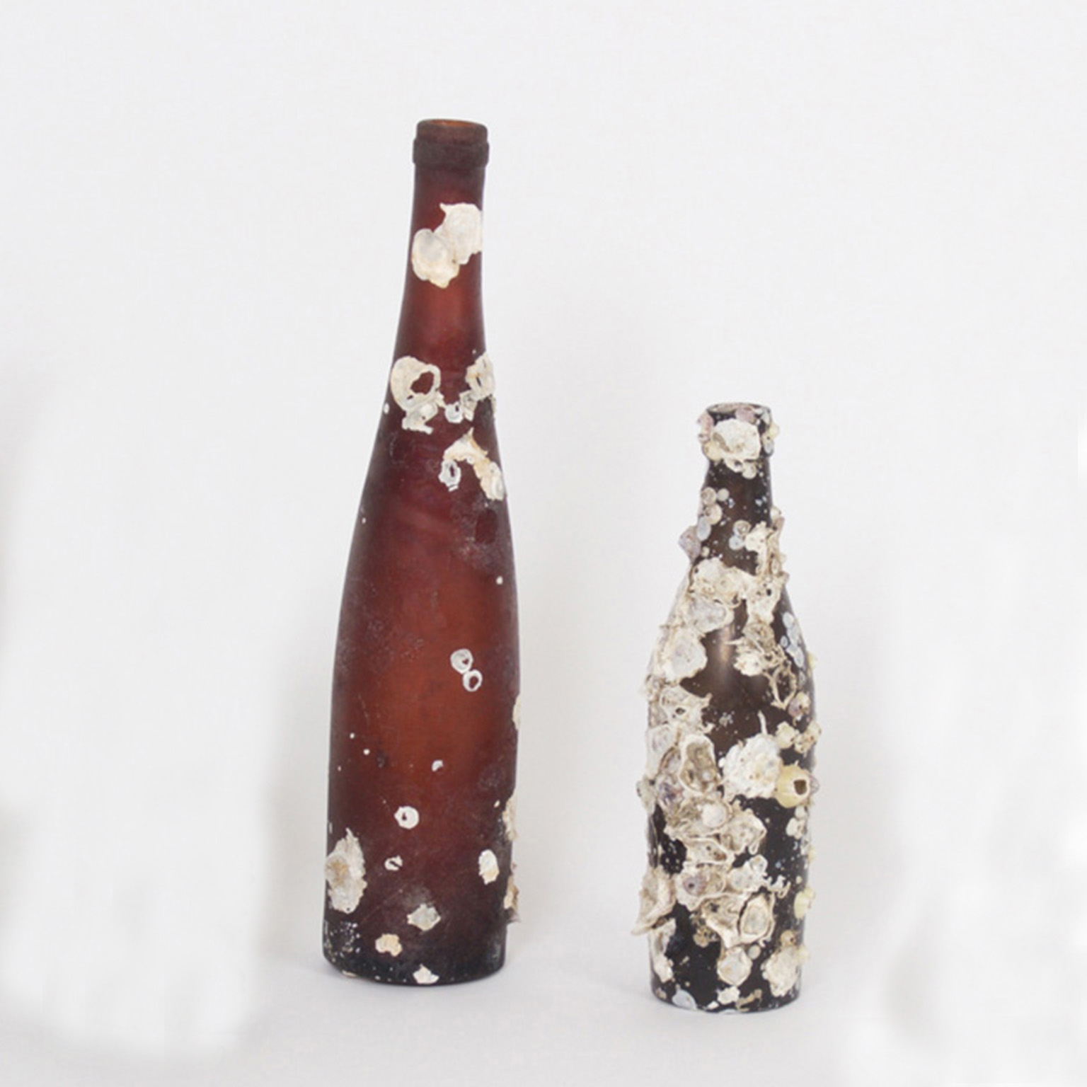 Two Barnacle Encrusted Vintage Bottles, Priced Individually