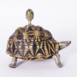 Vintage Turtle Box by Antony Redmile