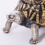 Vintage Turtle Box by Antony Redmile