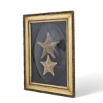 Antique English Presentation of Two Starfish