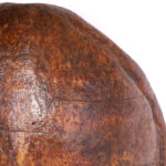 19th Century Wall Mount Turtle Shell