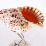 Mid Century Metal and Conch Shell Bird Sculpture by Binazzi