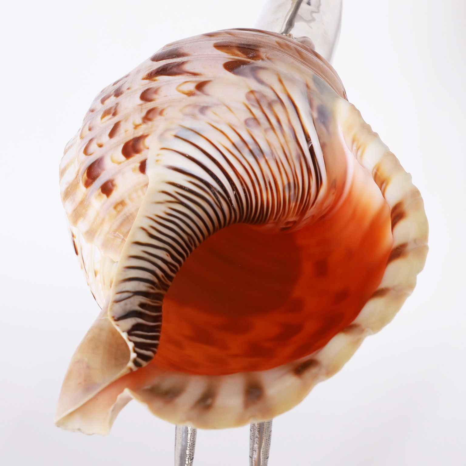 Mid Century Metal and Conch Shell Bird Sculpture by Binazzi