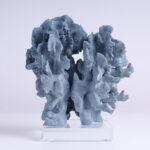 Specimen of Blue Coral on Lucite