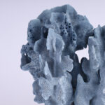 Specimen of Blue Coral on Lucite