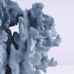 Specimen of Blue Coral on Lucite