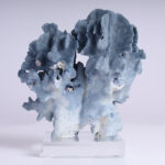 Specimen of Blue Coral on Lucite