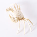 Chinese Carved Bone Crab