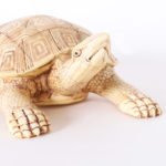 Chinese Export Carved Bone Turtle