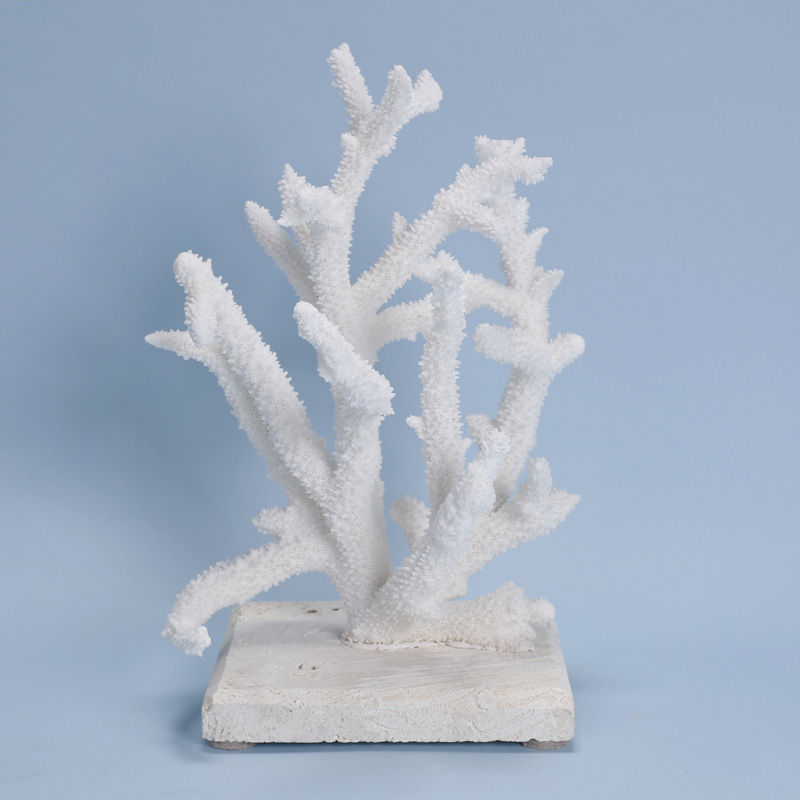 Natural Branch Coral Mounted on Coquina Stone