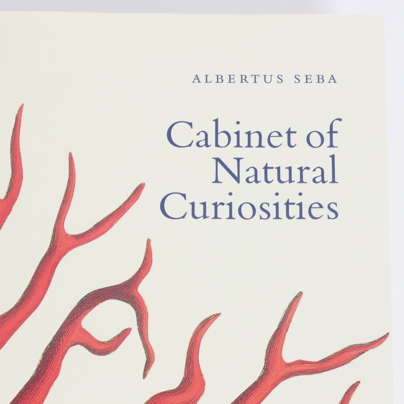 Cabinet of Natural Curiosities by Albertus Seba