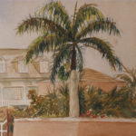 Antique Caribbean Watercolor