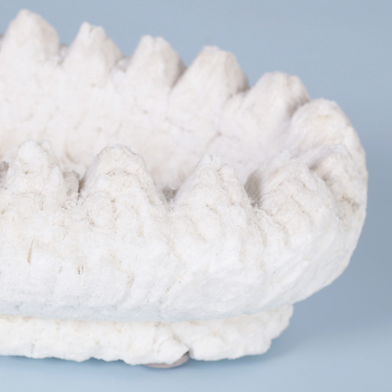 Carved Coral Bowl or Planter