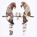 Collection of Eight African Bird Images in Butterfly Wings, Priced Individually
