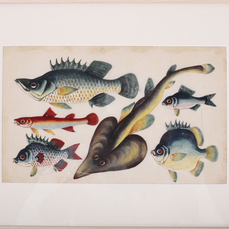 Set of Three Antique Chinese Pith Paintings of Fish, Priced Individually