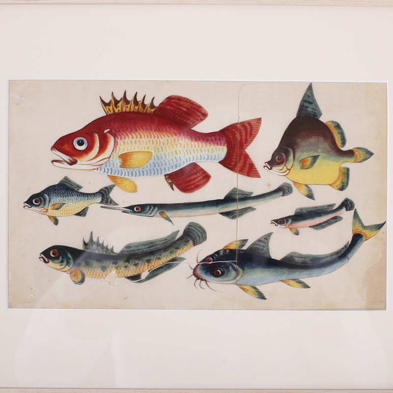 Set of Three Antique Chinese Pith Paintings of Fish, Priced Individually