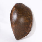 Antique Giant Turtle Shell or Carapace