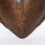 Antique Giant Turtle Shell or Carapace