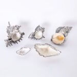 Vintage Group of Five Silver Overlay Seashells