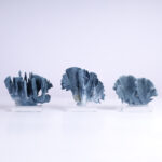 Three Blue Organic Coral Specimens