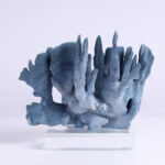 Three Blue Organic Coral Specimens