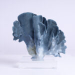 Three Blue Organic Coral Specimens