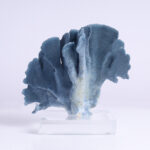 Three Blue Organic Coral Specimens