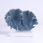 Three Blue Organic Coral Specimens