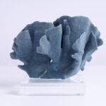 Three Blue Organic Coral Specimens