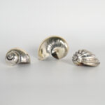 Organic Group of Three Italian Silver Plate Seashells