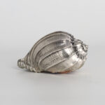 Organic Group of Three Italian Silver Plate Seashells