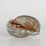 Organic Group of Three Italian Silver Plate Seashells