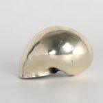 Organic Group of Three Italian Silver Plate Seashells