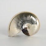 Organic Group of Three Italian Silver Plate Seashells