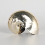 Organic Group of Three Italian Silver Plate Seashells