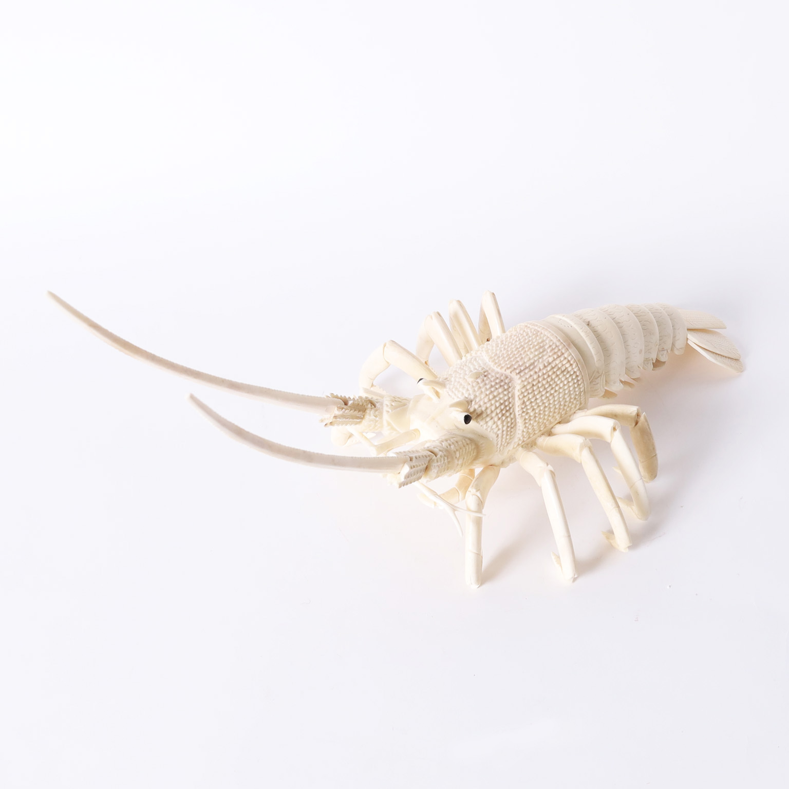 Large Chinese Bone Lobster