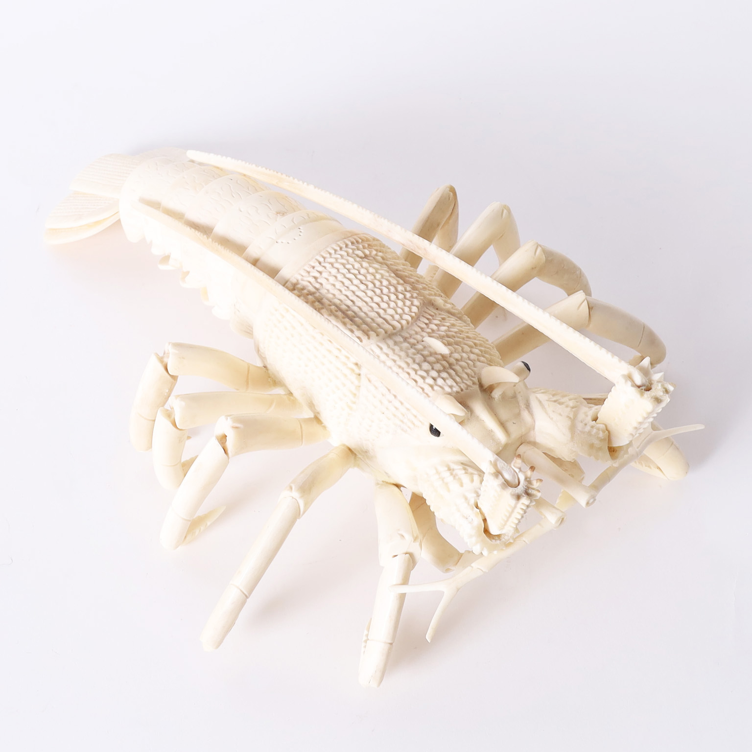 Large Chinese Bone Lobster