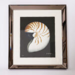 Vintage Nautilus or Seashell Stone Lithograph in a Mirrored Frame