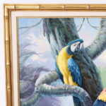 Oil Painting on Canvas of Parrots by Andre Lange