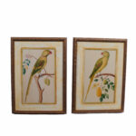 Pair of Anglo Indian Parrot Prints