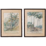 Pair of 19th Century Tropical Watercolor Paintings