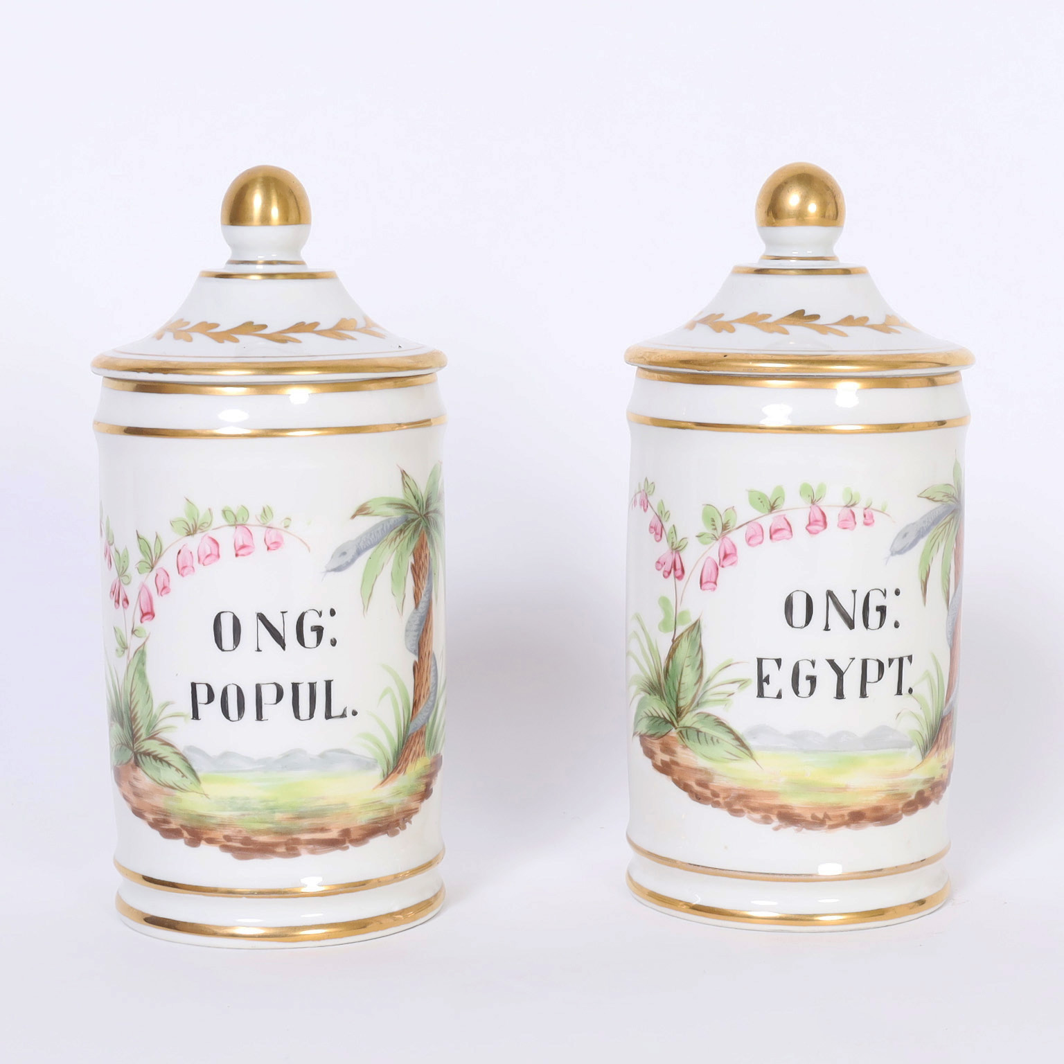 Pair of French Porcelain Apothecary Jars