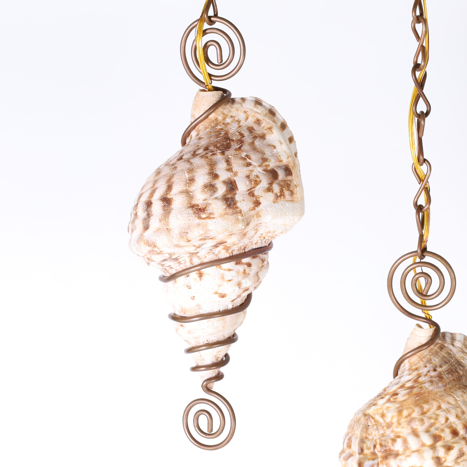 Pair of Triton Shell Pendants or Light Fixtures
