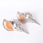 Pair of Silver Plated Large Triton Seashells, Priced Individually