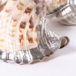 Pair of Silver Plated Large Triton Seashells, Priced Individually